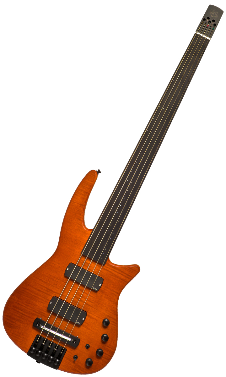 NS Design CR5 Radius Fretless